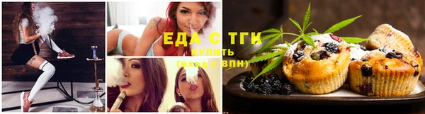 гидра Ессентукская