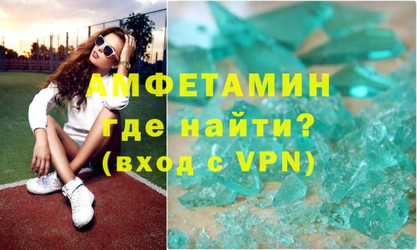 гидра Ессентукская