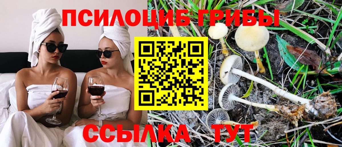 Сыктывкар  Псилоцибиновые грибы мицелий  Вход с VPN 